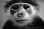 Avatar do usuário