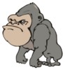 Avatar do usuário
