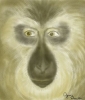 Avatar do usuário