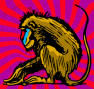 Avatar do usuário