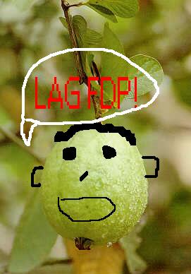 13146.jpg