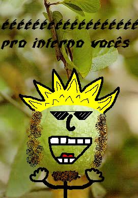 13146.jpg