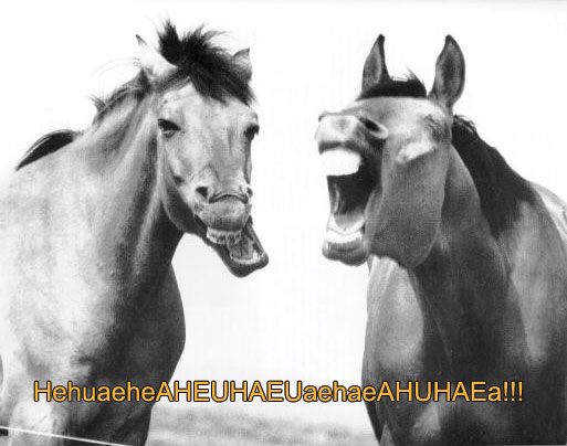 horsepiadaboatf7.jpg